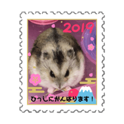 bunchan_20190109153351