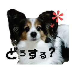 ishidareo