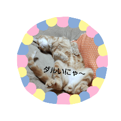 MEGUMI_20190107160535