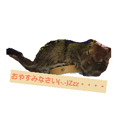 ran_20181223104023