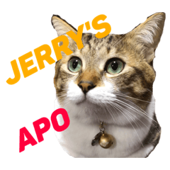 Jerry's Apo_20191547