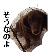 Chihiro_20190109225900