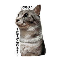 MARINA_20190109112906