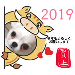 rie_20190101163230