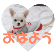 chiwadio