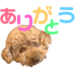 arisa_20190110014017