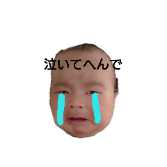 hachi1223