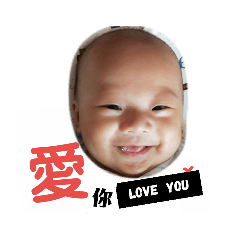 崴崴日常表情ˇ