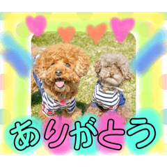 azu_2019010413382
