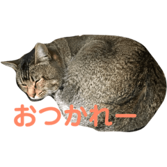 my life 2019