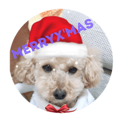 kurumi_201901101100564