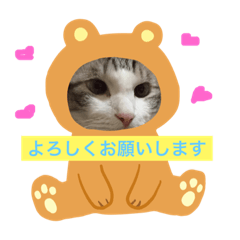 nonchan_20190105210411