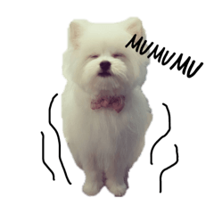 omochi_m