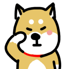 one day of shiba inu 1