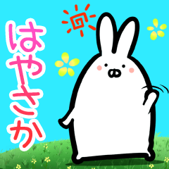 Hayasaka every day rabbit