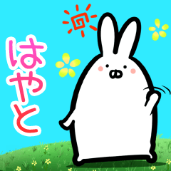 Hayato every day rabbit