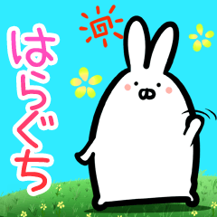 Haraguchi every day rabbit