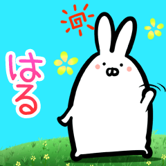 Haru every day rabbit