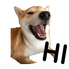 本丸丸2