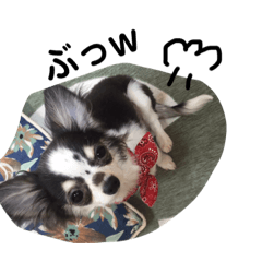 HIDE_20190108205824