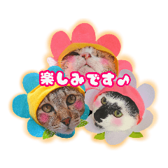 メッシュのかわいいお花さんたち 敬語ver Line スタンプ Line Store