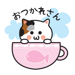 Japanese Kansai Cute Cat