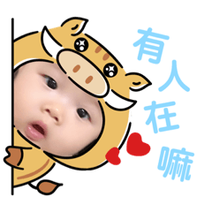 炘肝寶2