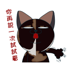 Weird Cat - Baimu Daily 1