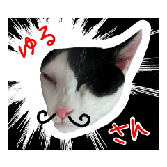 akari_20190109161633