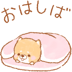 Iyashibainu 12 Line Stickers Line Store