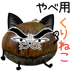 Yabe Chestnut cat