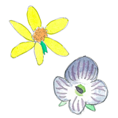 Hetahuwa flower