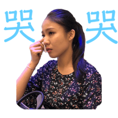豬的故事