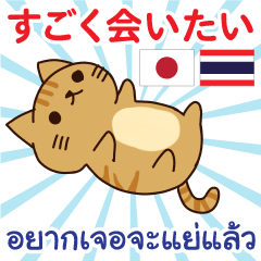 Thai-Japanese Lovely Thai Cat