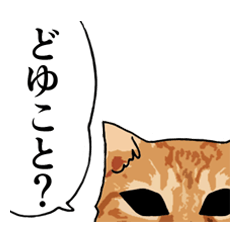 Cat face (red tabby)