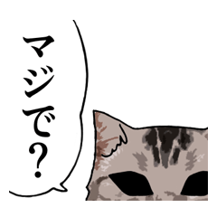Cat face (silver tabby)