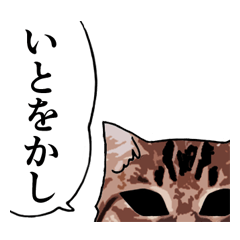 Cat face (brown tabby)