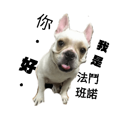 法鬥
班諾的幸福空間