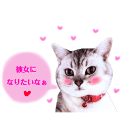 Valentine Love Love Love