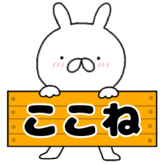 A dedicated name rabbit Kokone