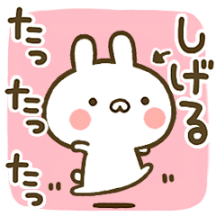 Cute Rabbits[Shigeru]