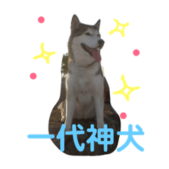 可愛的客家人