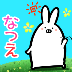 Natsue every day rabbit