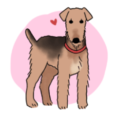 A life of Airedale Terrier