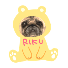 yukko_20190109161946