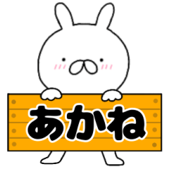 A dedicated name rabbit Akane