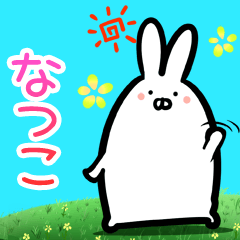 Natsuko every day rabbit