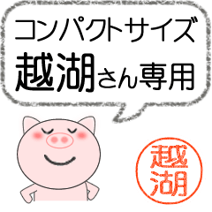 越湖専用コンパクトサイズイラスト少な目 Line スタンプ Line Store