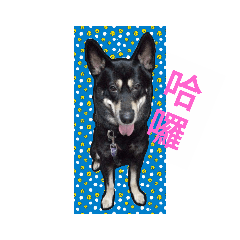 黃阿久的彩色人生