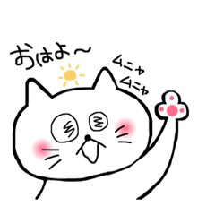 chitoseame_20190111164937
